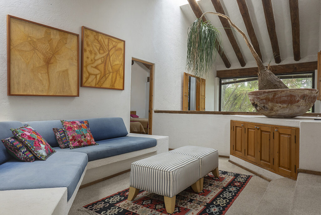 salita agradable con vigas de madera y planta pata de elefante  en casa en Valle de bravo, renta vacacional, fotografía profesional